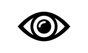 Vision Icon